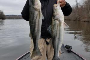 Braggin' Board Photo: Double Beauties