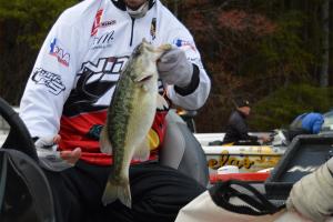 Braggin' Board Photo: FLW Lake Smith, BPS/Nitro pro Stacey King