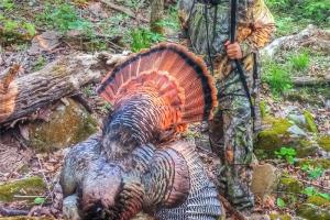 Braggin' Board Photo: Day 10 Missouri Turkey Season
