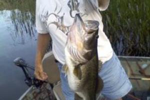Braggin' Board Photo: 10 lb FLORIDA BASS
