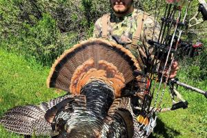 Braggin' Board Photo: Bow hunting Turkey