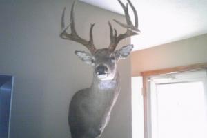 Braggin' Board Photo: The Trophy Buck