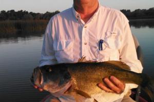 Braggin' Board Photo: Nice Bass