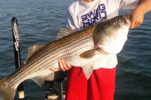 Braggin' Board Photo: Striped Bass