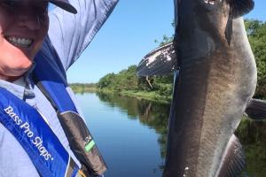 Braggin' Board Photo: Nice Catfish