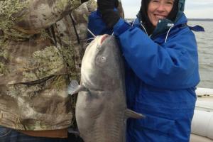 Braggin' Board Photo: Cedar Creek catfish