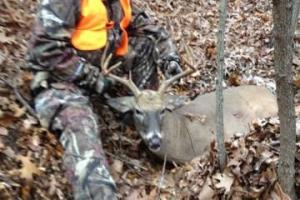 Braggin' Board Photo: Deer season 576600 239414992879735 173711333 n