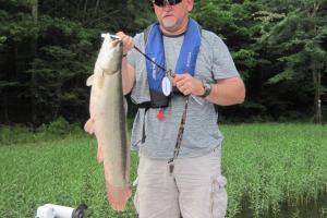 Braggin' Board Photo: 13 lb Bowfin Caught on Jordan Lake