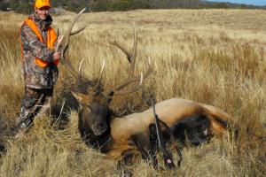 Braggin' Board Photo: Nice Elk