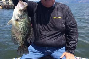 Braggin' Board Photo: BIG 2 Pounder Crappie