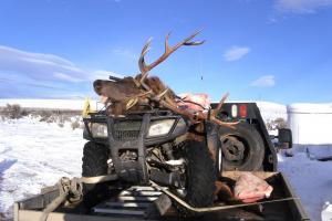 Braggin' Board Photo: Elk Harvest