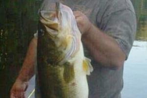 Braggin' Board Photo: 14 lb Florida Bass taken on a RAPALA DD20