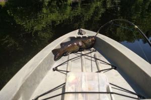 Braggin' Board Photo: Fat Smallmouth: Kayak River Fishing