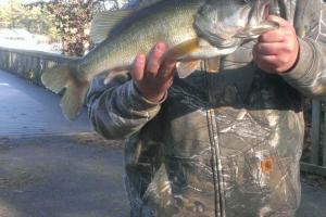 Braggin' Board Photo: Two Largemouths