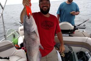 Braggin' Board Photo: Good Day Catfishing