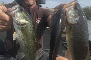 Braggin' Board Photo: Good Bass Catch on the Delta