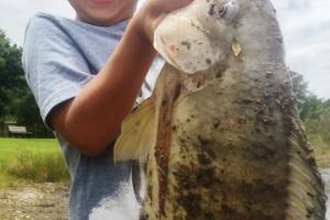 Braggin' Board Photo: WORLD RECORD TILAPIA CAUGHT BY 4 YEAR OLD!