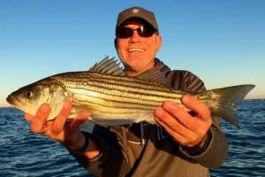 Braggin' Board Photo: Striped bass