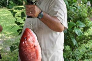 Braggin' Board Photo: 2009 FL Red Snapper