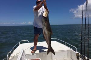 Braggin' Board Photo: 60 lb Cobia