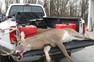 Braggin' Board Photo: 10 point buck