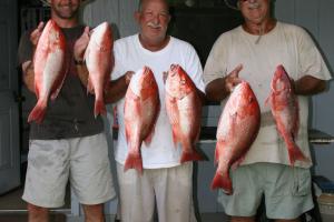 Braggin' Board Photo: 2009 FL Red Snapper Fishing