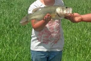 Braggin' Board Photo: Proud Bass Catch