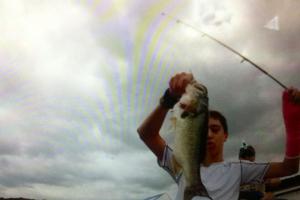 Braggin' Board Photo: Bass image