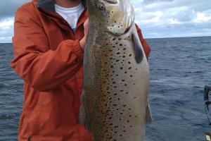 Braggin' Board Photo: Lake Ontario Fishing