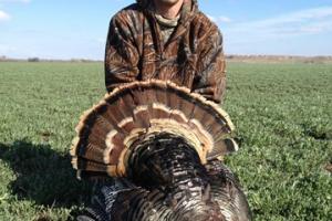 Braggin' Board Photo: Northern Kansas Spring Turkey