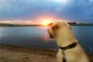 Braggin' Board Photo: Enjoying a Kansas Sunset