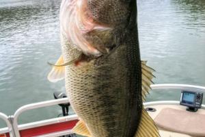 Braggin' Board Photo: Nice Bass from Lake Adger