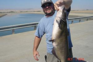 Braggin' Board Photo: monster catfish