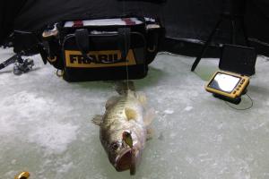 Braggin' Board Photo: Iceing Large Mouth Bass