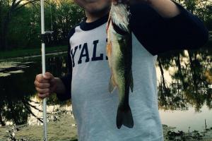 Braggin' Board Photo: Bass Fishing is FUN!