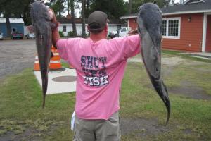 Braggin' Board Photo: Nice Catfish