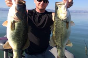 Braggin' Board Photo: Some Big Bass on Lake Berryessa