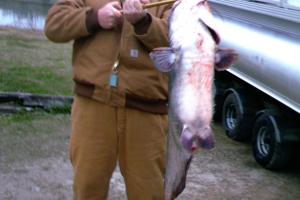 Braggin' Board Photo: Catfishing