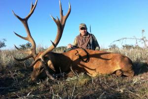 Braggin' Board Photo: Free range stag , Argentina deer