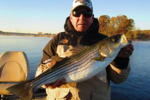 Braggin' Board Photo: Striper Bass in Connecticut