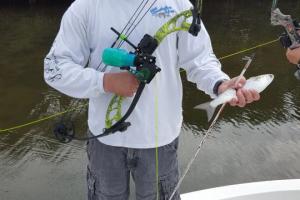 Braggin' Board Photo: bow fishing