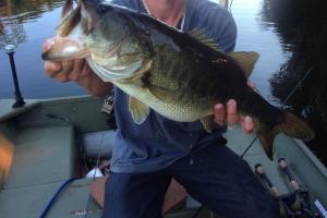 Braggin' Board Photo: Largemouth IMG 1360