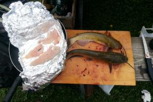 Braggin' Board Photo: trout filleted and bullheads channels stonelick lake jerry