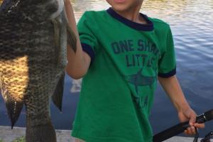 Braggin' Board Photo: Nice Crappie