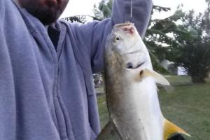 Braggin' Board Photo: Jacks Crevalle Jack