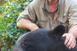 Braggin' Board Photo: Black Bear Caught in Florida