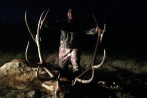 Braggin' Board Photo: 7x9 flagstaff elk