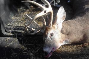 Braggin' Board Photo: Randall's Nice Buck