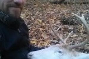 Braggin' Board Photo: Albino Buck