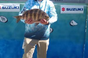 Braggin' Board Photo: Fishing Sheepshead